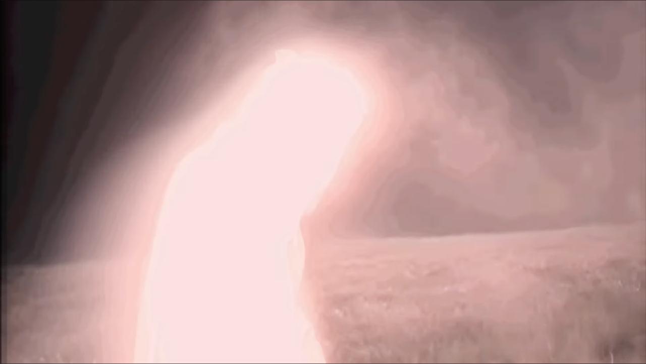 A luminous bloom
